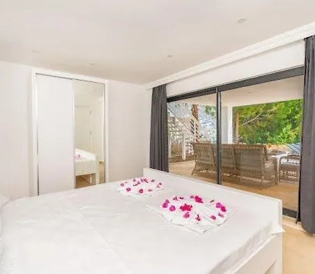 Villa City Villa