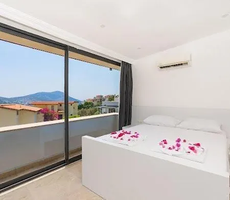 Villa City Villa